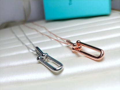 [Kaelin Vow]HARDWEAR DROP DOUBLE LINK PEDANT NECKLACE