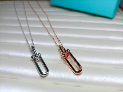 [Kaelin Vow]HARDWEAR DROP DOUBLE LINK PEDANT NECKLACE