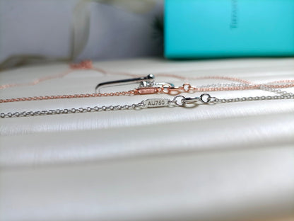 [Kaelin Vow]HARDWEAR DROP DOUBLE LINK PEDANT NECKLACE