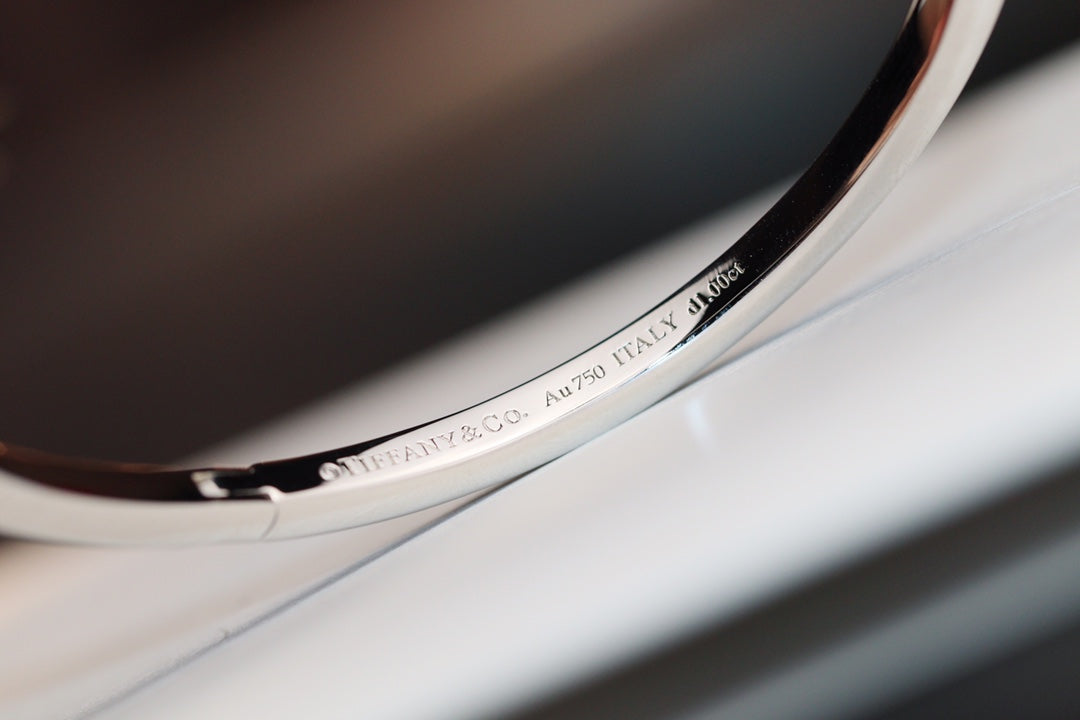[Kaelin Vow]NARROW T1 HINGED BANGLE DIAMOND SILVER